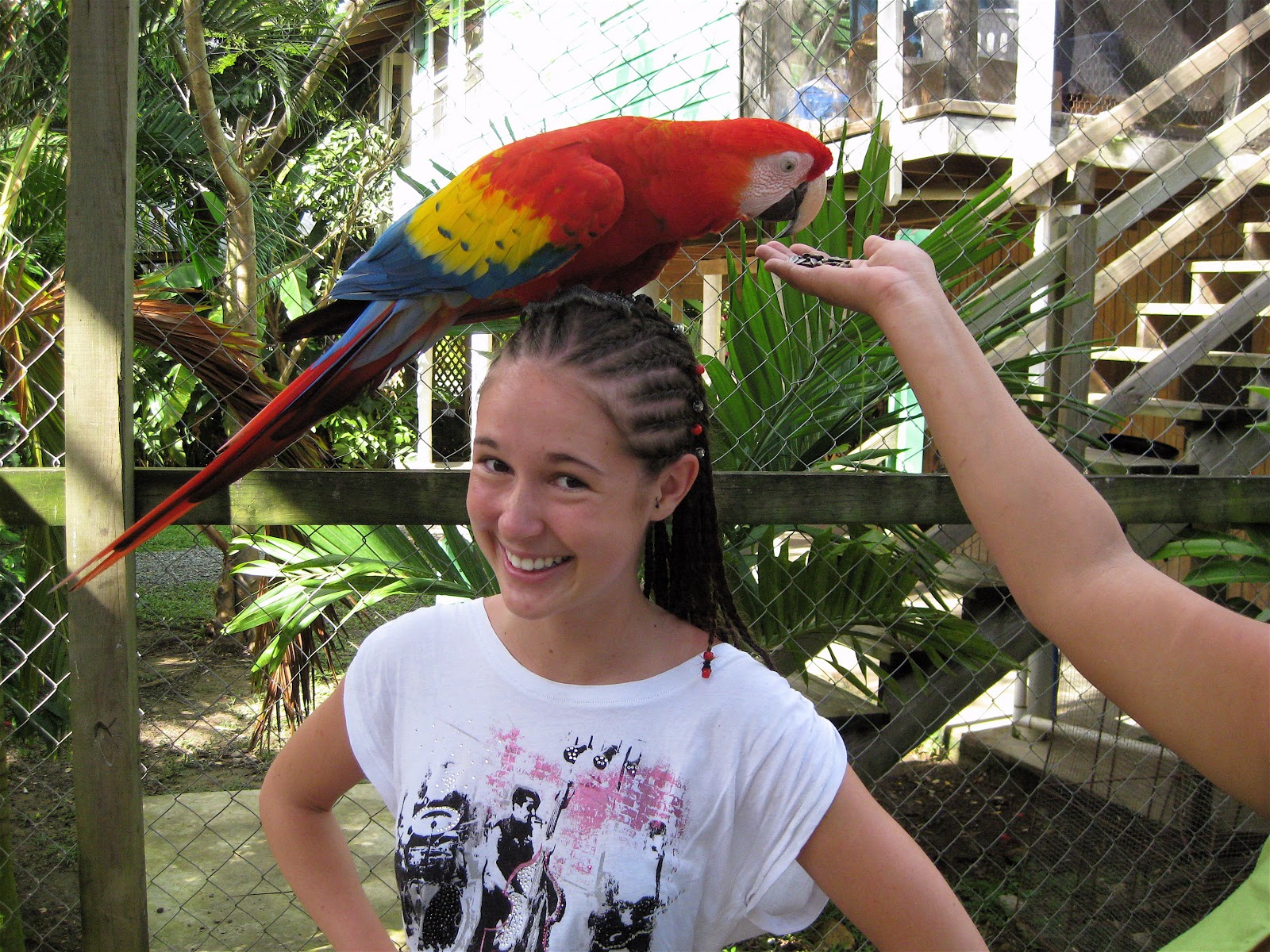 Me with a macaw on my head in Roatan, Honduras