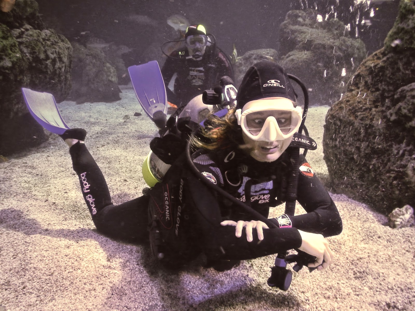 Me scuba diving at the Denver Aquarium