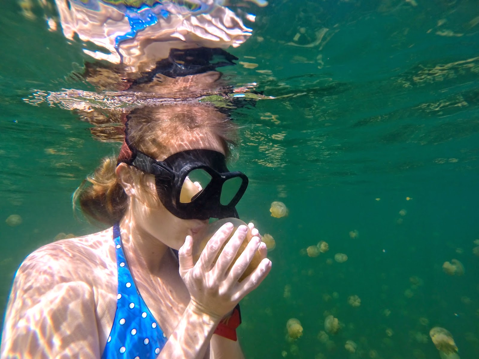 Me kissing a jellyfish at Jellyfish Lake, Palau