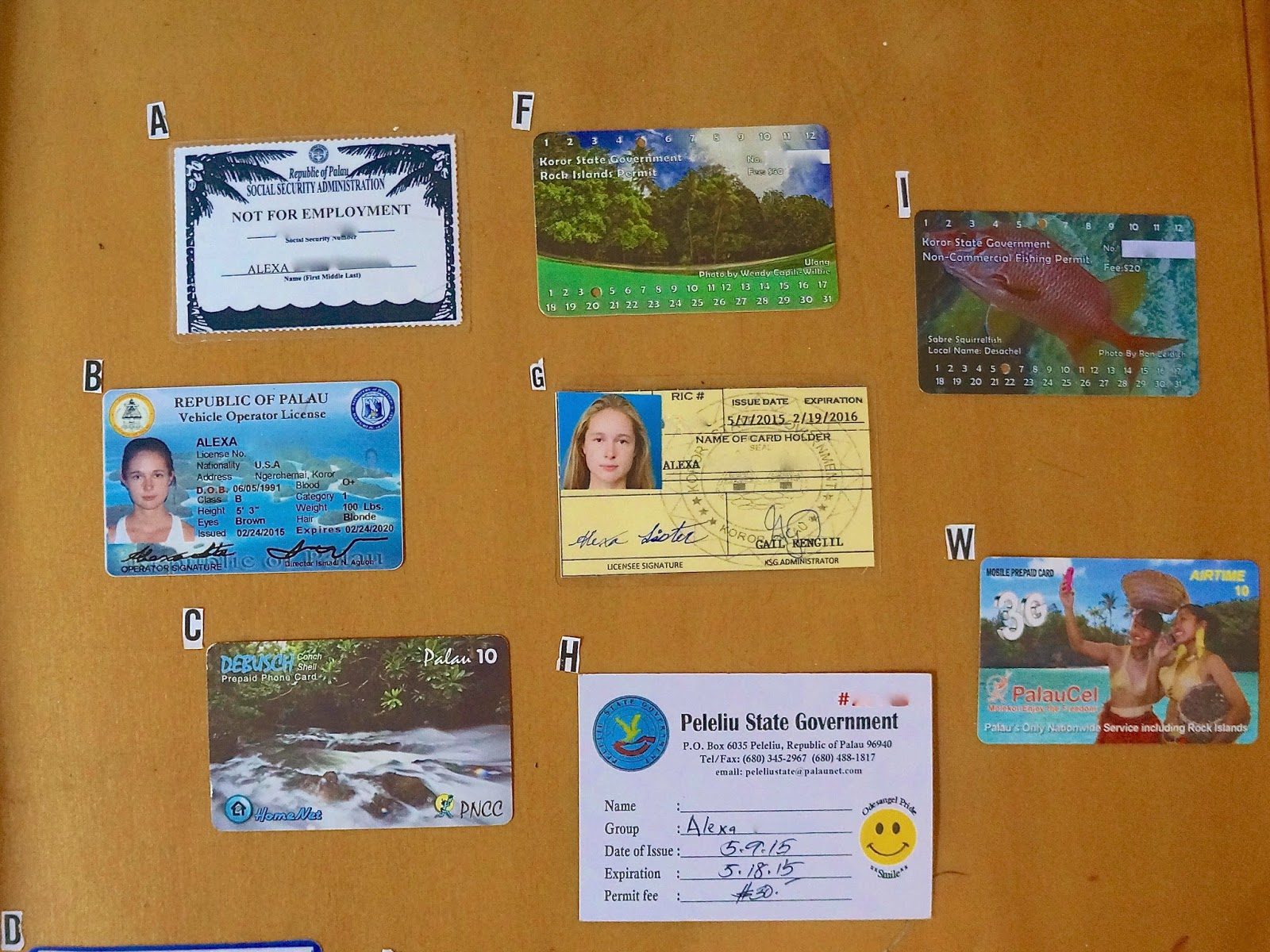 all the permits needed in Palau