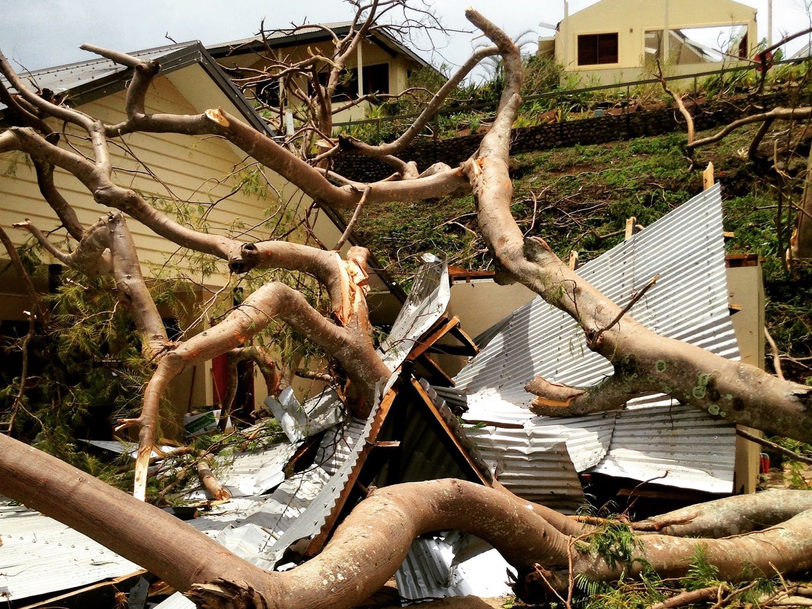 Destruction of TC Winston, Fiji