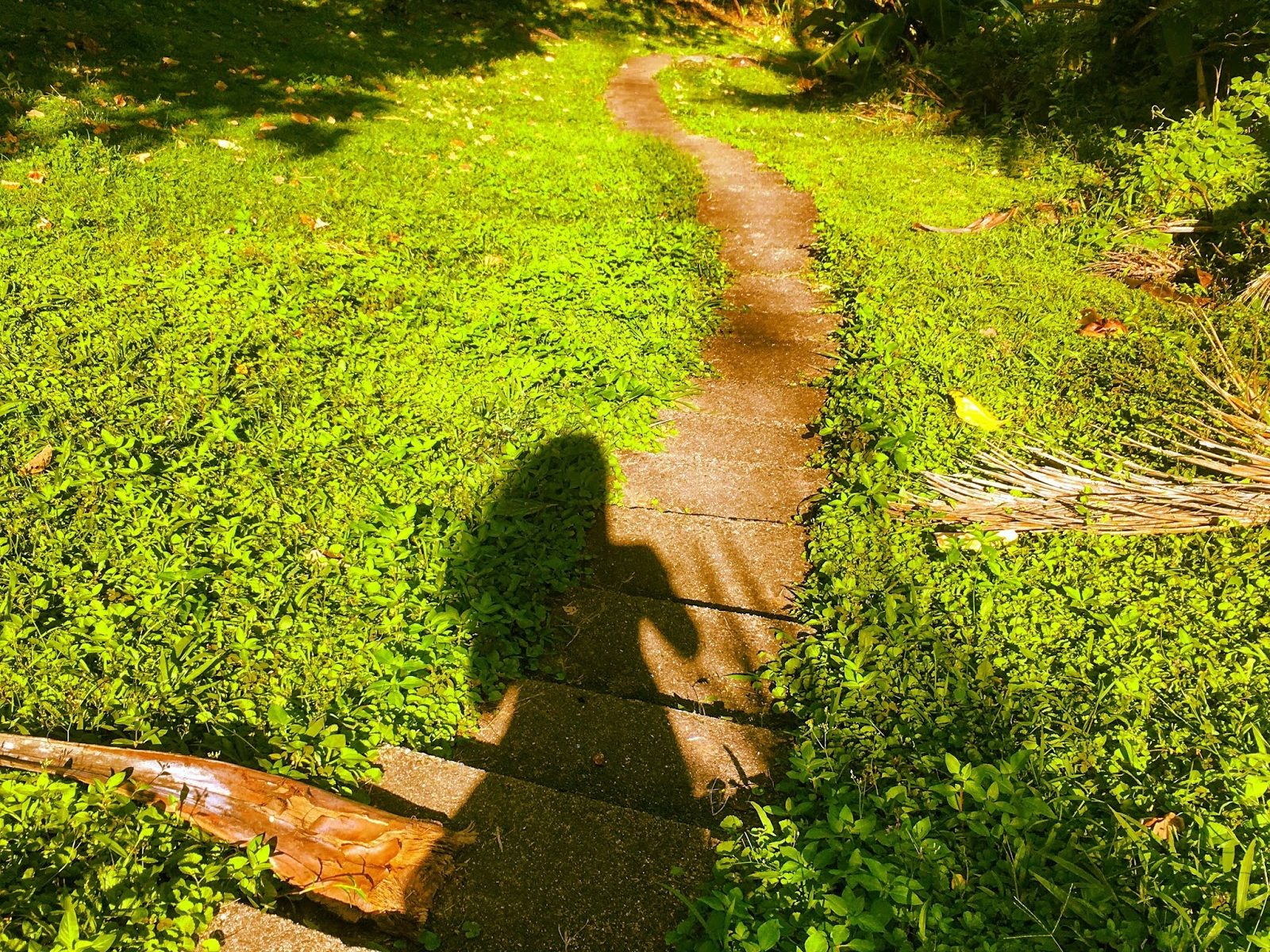 shadow on the walk to work