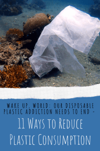 Pin in! 11 Ways to Reduce Plastic Consumption 