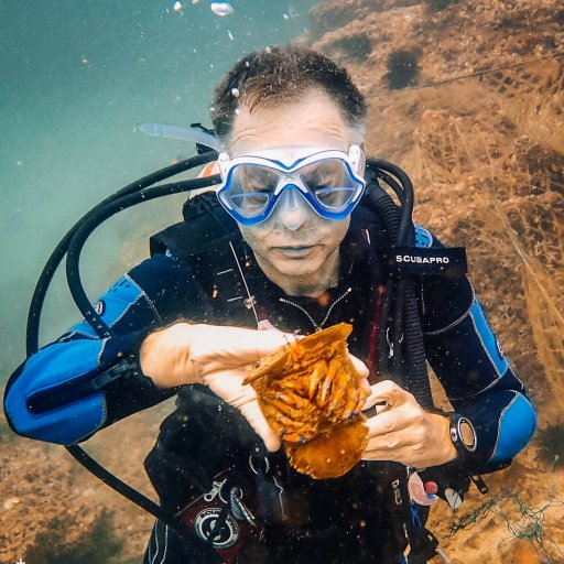 Rescuing a slipper lobster from a fishing net at Ras Abu Daud, Oman