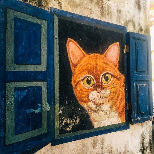 Cat in window, George Town street art