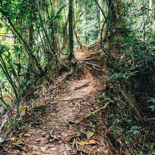 Pathway leading up Penang Hill