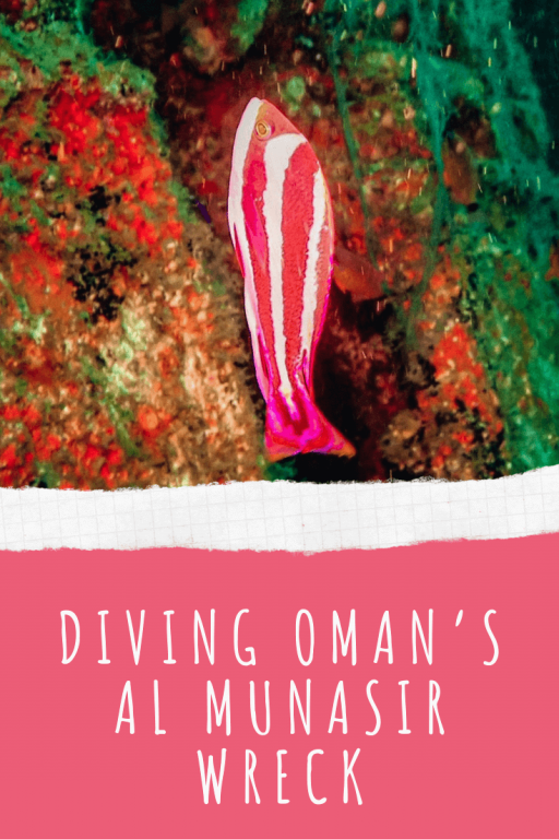 Pin it! - Diving Oman's Al Munasir Wreck
