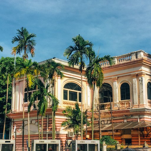 The betel nut trees that Penang is named for.