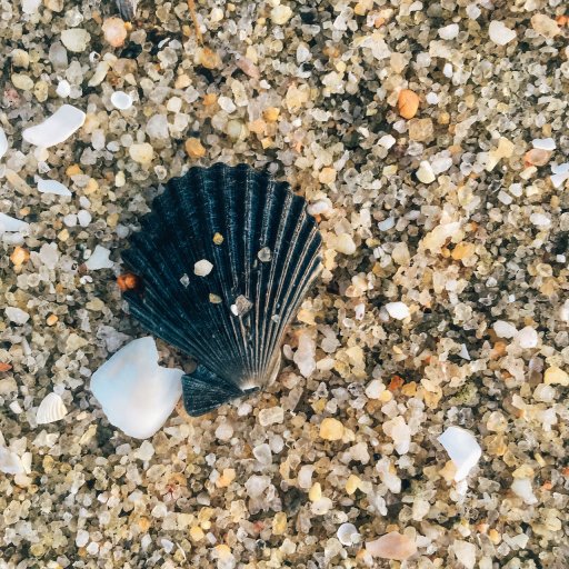 Closeup of the corse sand at Batu Ferringhi Beach