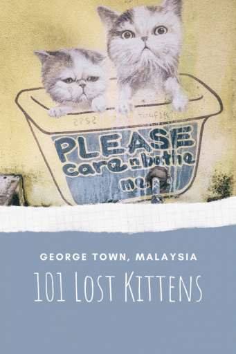 Pin it! - 101 Lost Kittens