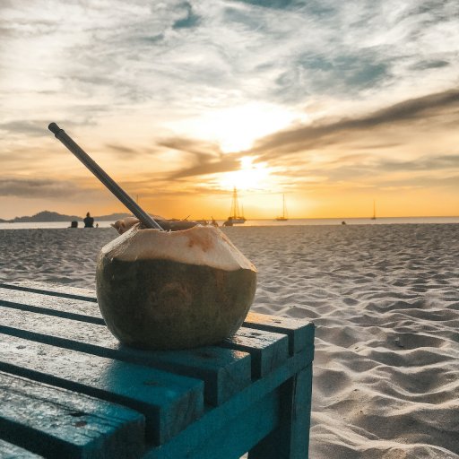 Coconut at sunset