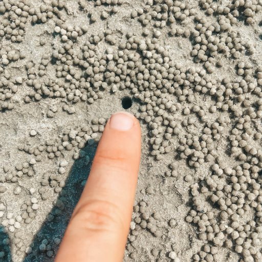 Have you ever seen a beach look like this?