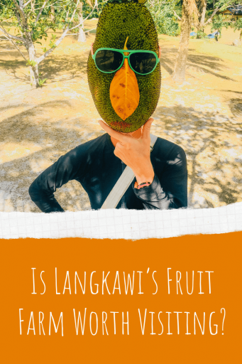 Pin it! - Langkawi Fruit Farm