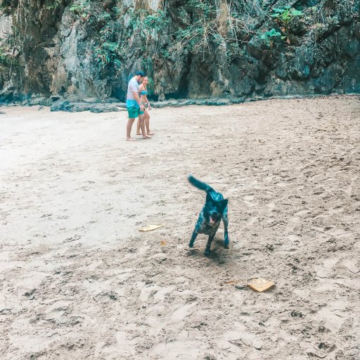 Molly the dog in Emerald Cave