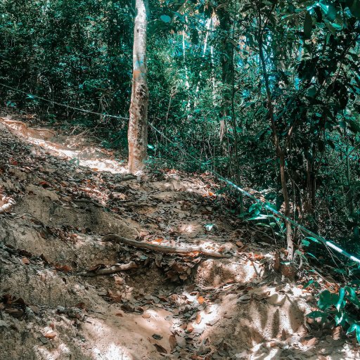 rope rail along the trail to the Koh Mook viewpoint.