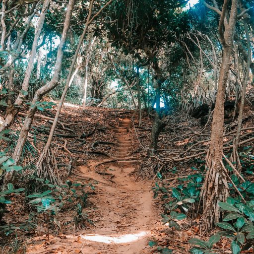 Koh Kradan Path