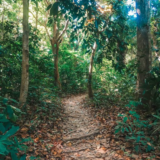 The path to Sunset Beach, Koh Kradan.