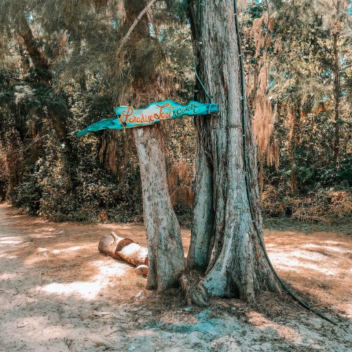 Sign pointing to Paradise Lost Resort.