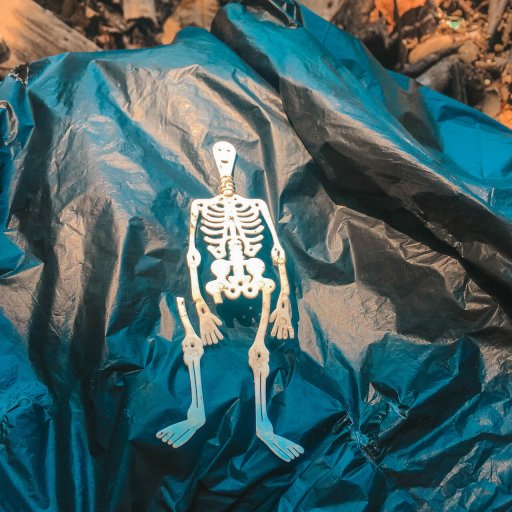 plastic skeleton